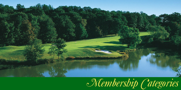 Mbr-Categories-Header.jpg